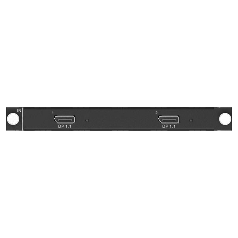 H Series 2 x DP1.11 Input Card