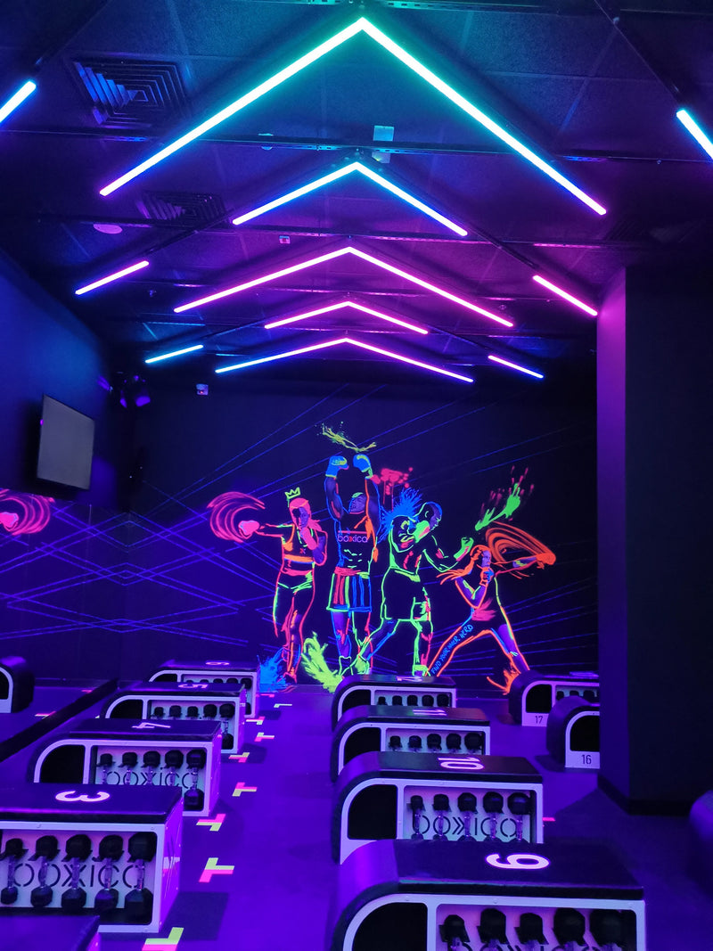 Slider image for Boxica High-tech Boxing Concept Teams up with Procom for Sound and Lighting Solution