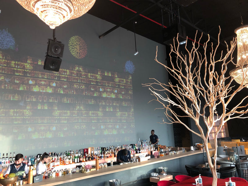 Slider image for Iris Dubai Launches Their New Indoor Venue with K-array