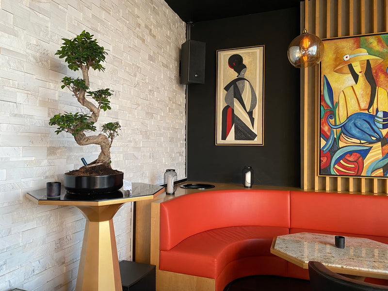 Slider image for KYO Restaurant &amp; Lounge Upgrades its Audiovisual System for the New Season