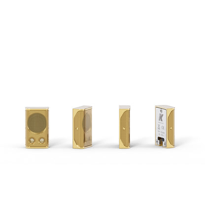 Lyzard-KZ1 - Extremely Miniature Aluminum Line Array Element