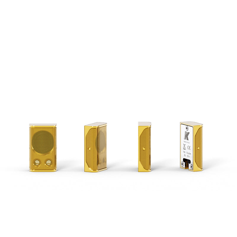 Lyzard-KZ1 - Extremely Miniature Aluminum Line Array Element
