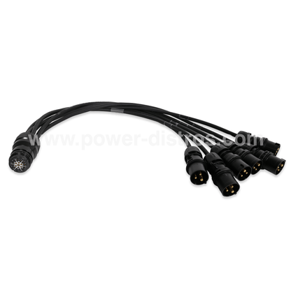 Power Fan In Spider - 19 Pin Female Connector to 6 x 16A 3P CEE Male - 1m Each Connection