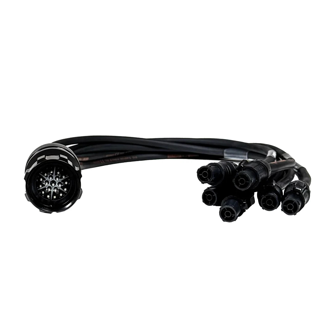Power Fan Out Spiderm - 19 Pin Male Connector to 6 x Female PCONT1 SEETRONIC- 6.0m 1m each 